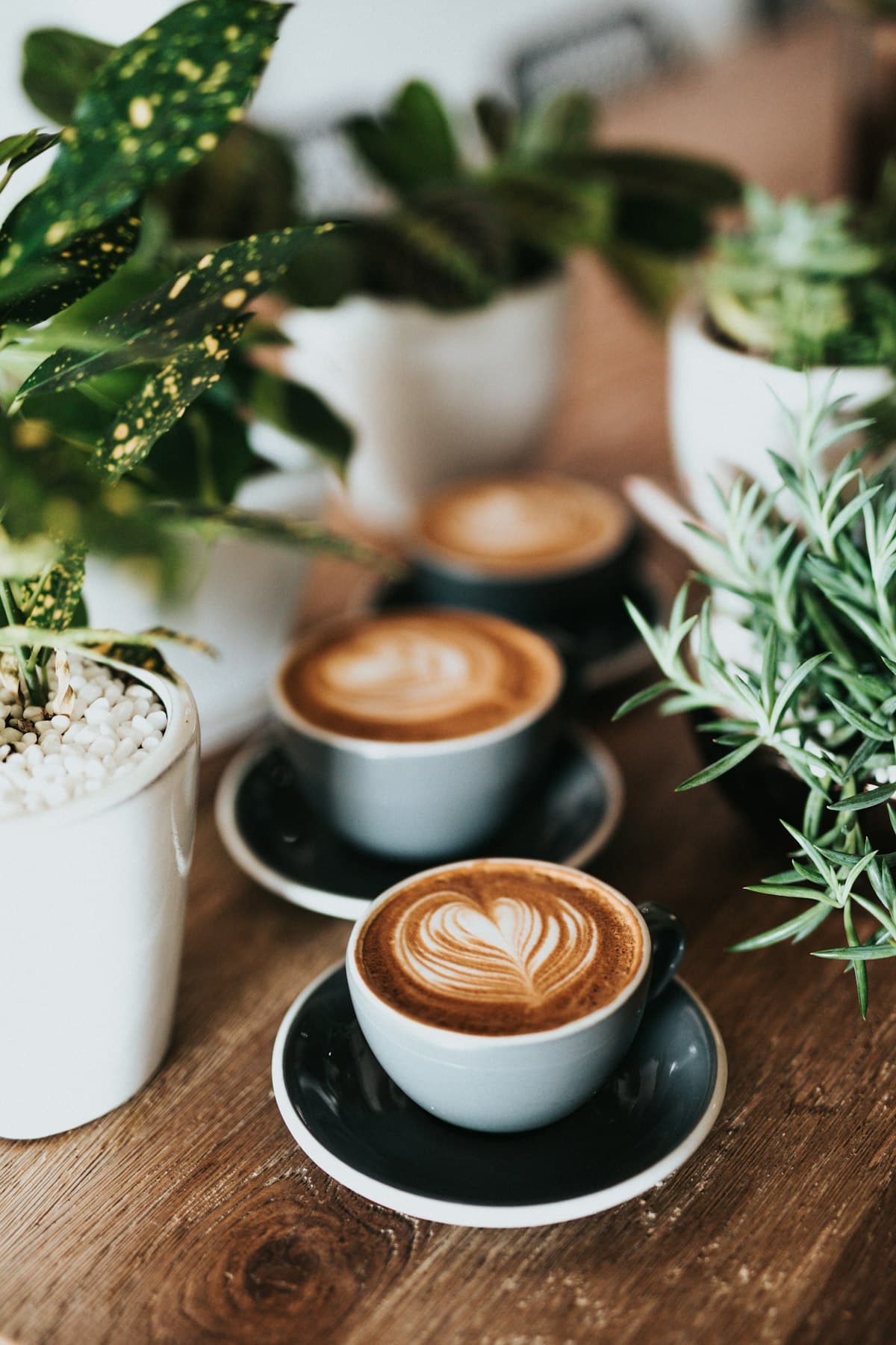 Specialty Coffee Brand System — Packaging system
